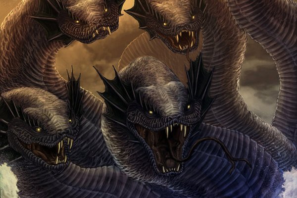 Kraken19 at