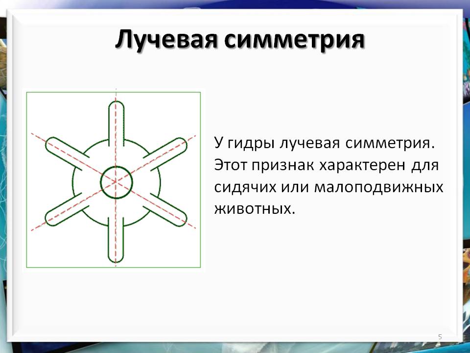 Кракен даркнет актуальная ссылка