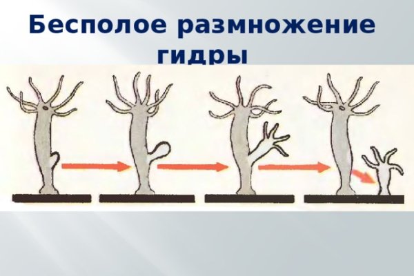 Ссылка кракен kr2web in