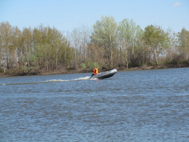 Kraken 12at зеркало